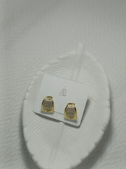 Premium Gold Polished Earrings
